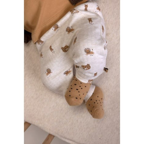 Broekje AOP - Tiny Roar Kleding Broekjes