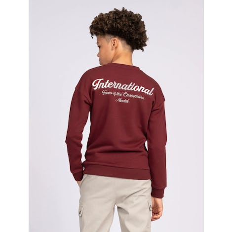 Champion Sweatshirt Kleding Sweaters