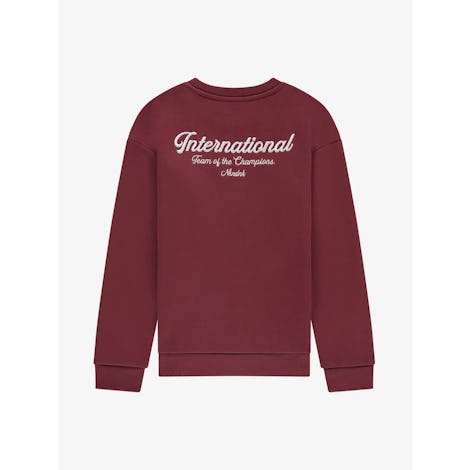 Champion Sweatshirt Kleding Sweaters