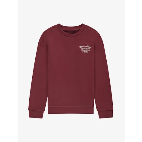Champion Sweatshirt Kleding Sweaters