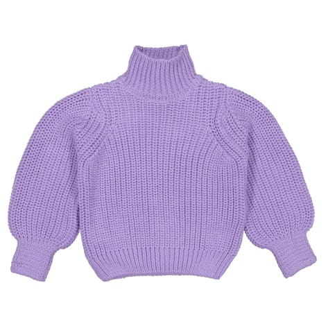 trui Kleding Truien en Vesten